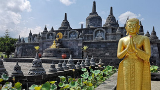 Golden Buddha statue with palms together in front of a stone temple with ancient carvings, surrounded by lotus plants under a clear sky.
