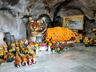 Tiger statues surrounded by marigold garlands inside a cave. Framed tiger artwork and smaller tiger figurines adorn the stone floor.