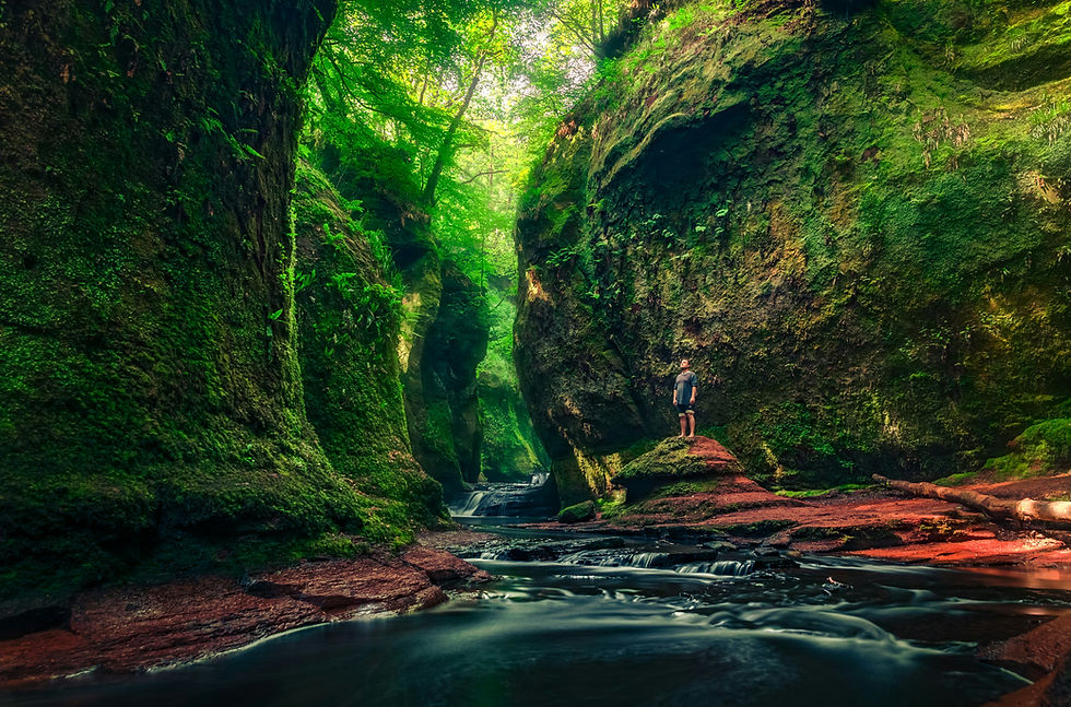 A person stands on red rock in a mossy, green canyon. Stream flows in the foreground. Bright, lush foliage creates a serene atmosphere.