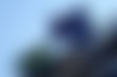 O Décimo Terceiro INSS será antecipado este ano. Veja as datas em 2021.