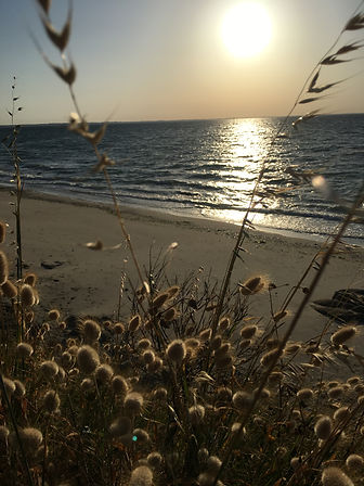 IMG_8990.jpeg