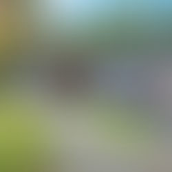 Mastering HO Forms and Coverages: Your Must Have Cheat Sheet Guide for the Homeowners Chapter | Property & Casualty Exam