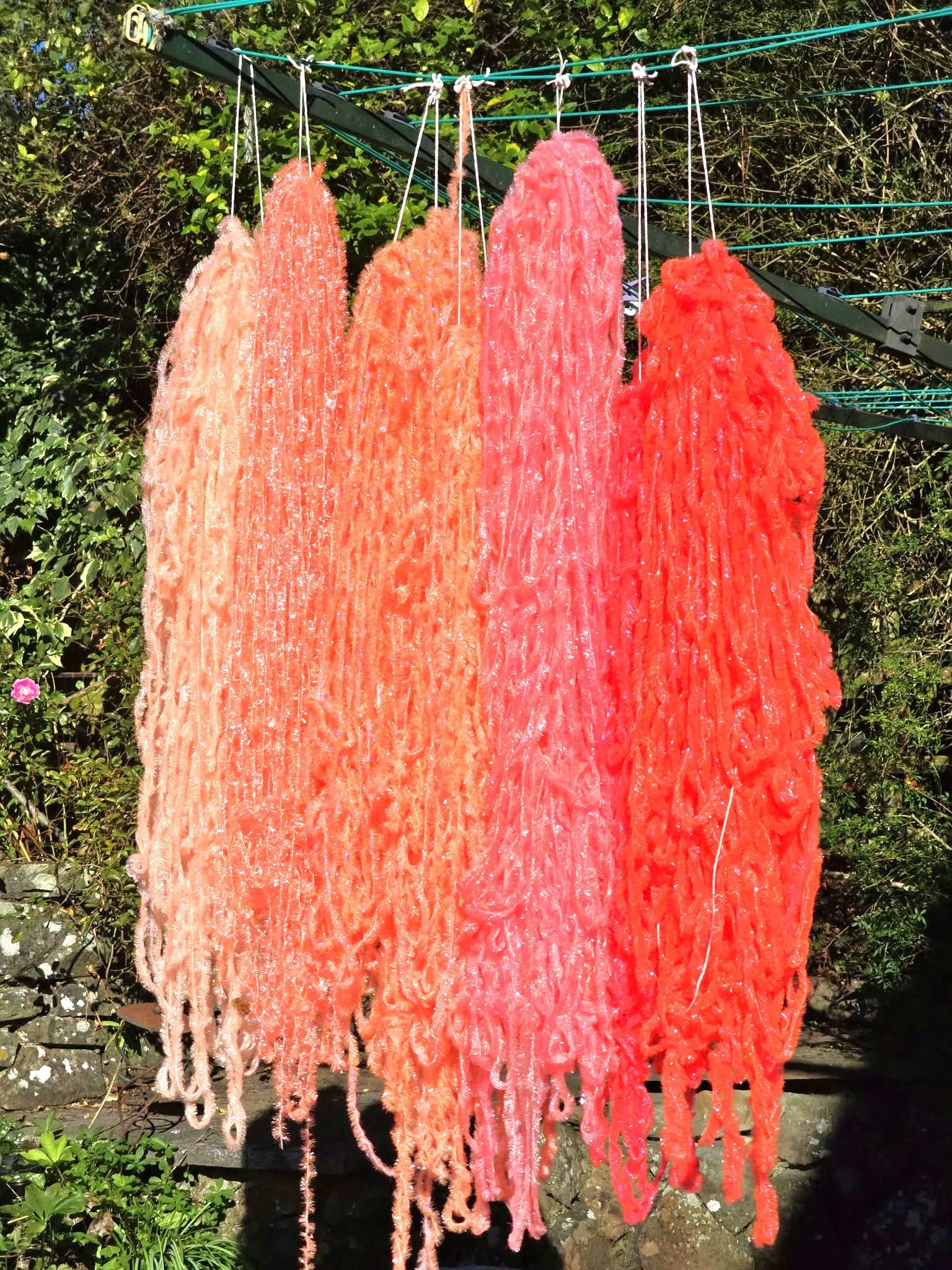 Coral Collection