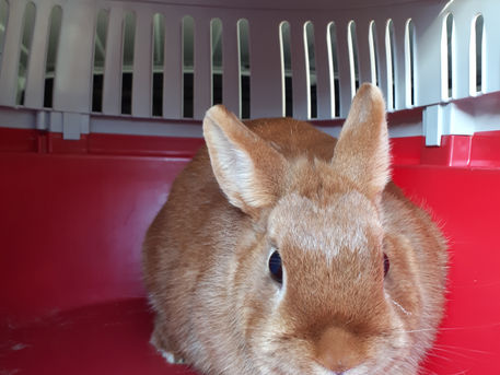 DEFENDRE SA PROFESSION