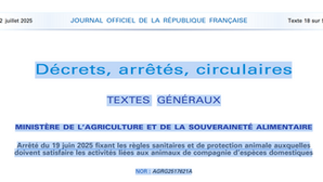Arrêté du 19 juin 2025