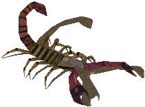scorpion.gif