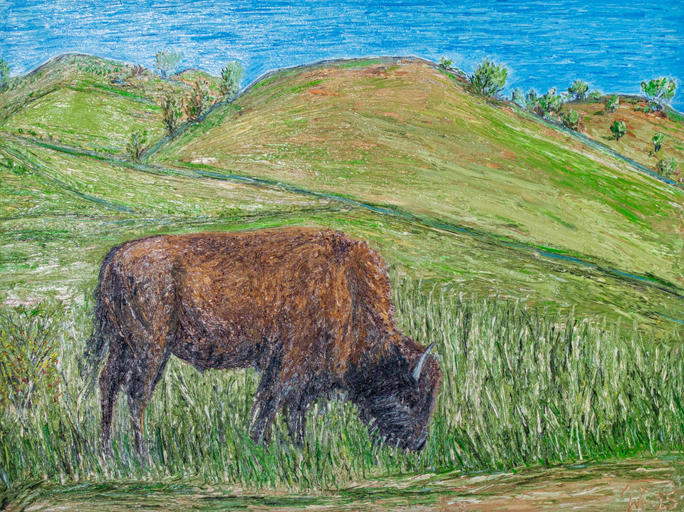 Oil painting of a buffalo grazing on grass in a hilly pasture. 