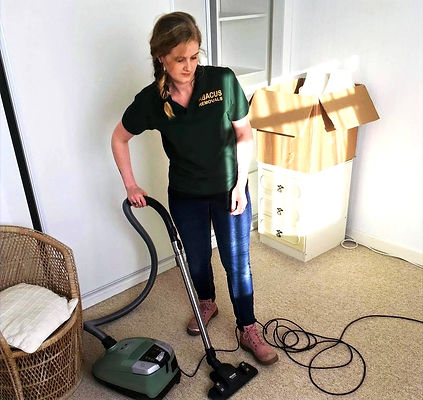 Cleaning_edited.jpg