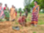 Village women Leading the Green Change