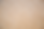 LPCX - web site12.png