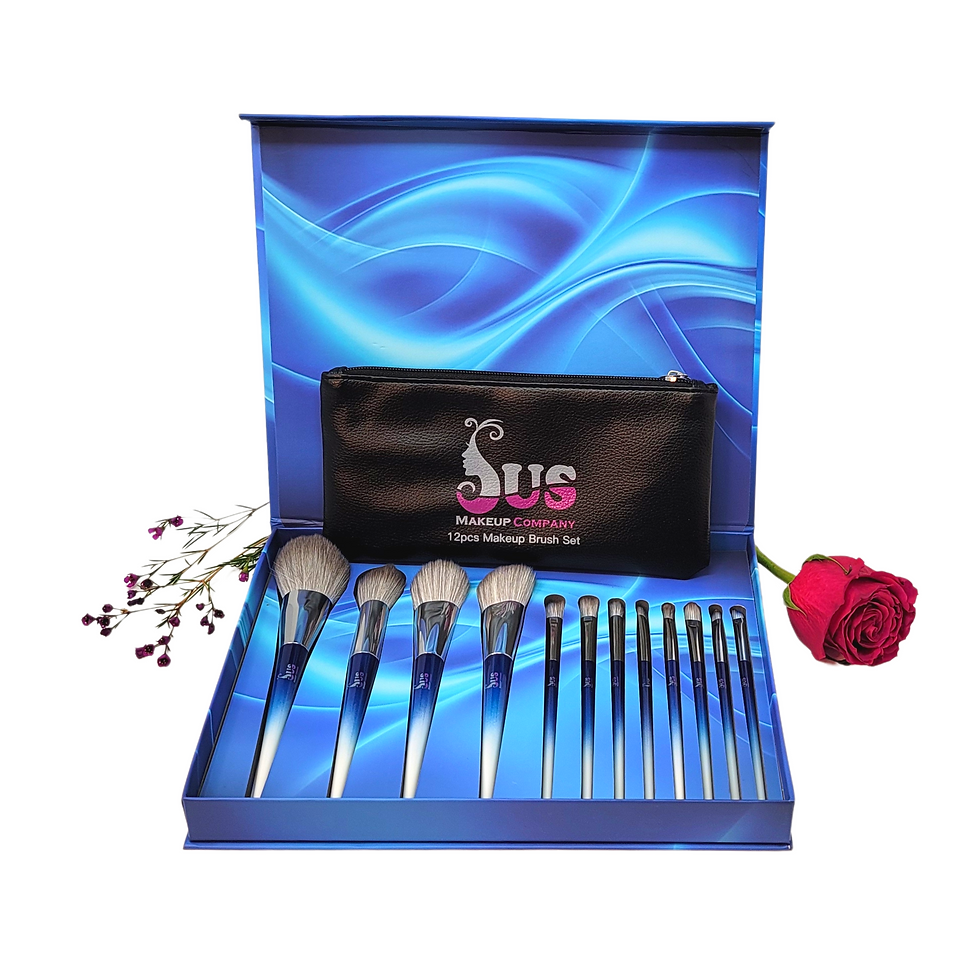 12 Brushes Set with Case