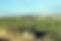 6842536537_043534b96c_o.jpg