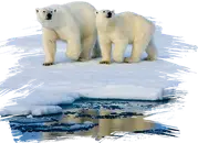 Onvergetelijk Spitsbergen