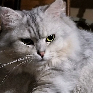 20201110_195528 (2).jpg