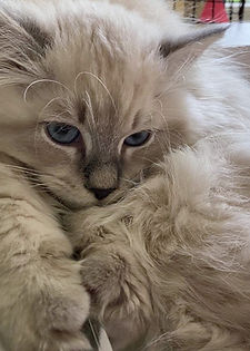 14W.Fynn.004 (2).jpg