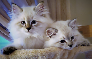 10W_162859_2 (2).jpg