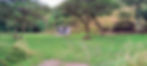 IMG-20250423-WA0000-EDIT