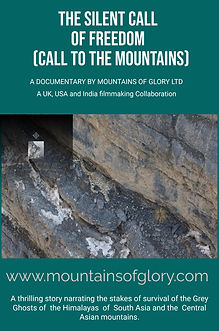 Poster - Documentary.jpeg