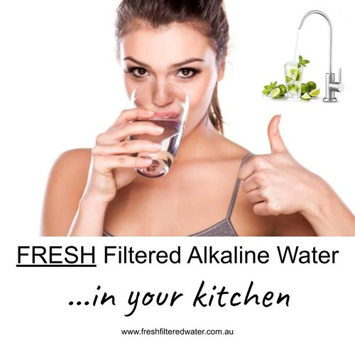 Premium Domestic Water Filter + Alkaline System (FREE Holiday Included