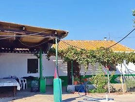 Country House Pilar Luchena: Avocado Orchard with House for Renovation, Andalucia