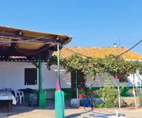 Country House Pilar Luchena: Avocado Orchard with House for Renovation, Andalucia