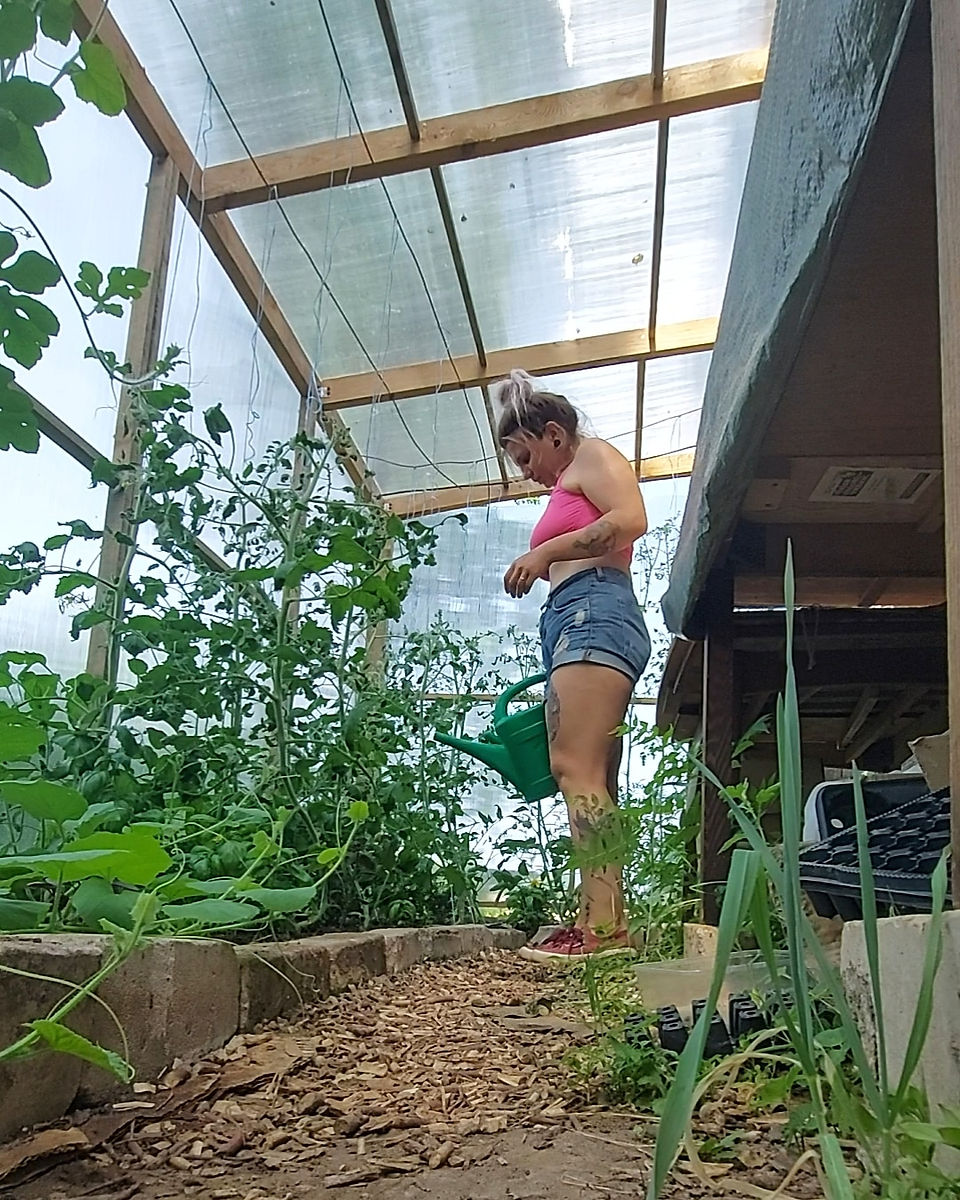 Cat Gavriusova, Off Grid Homestead In Lithuania