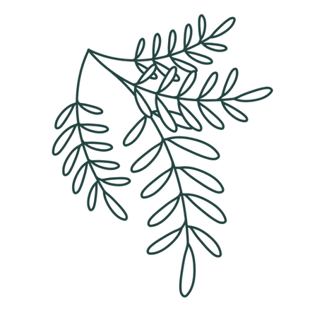 1.png