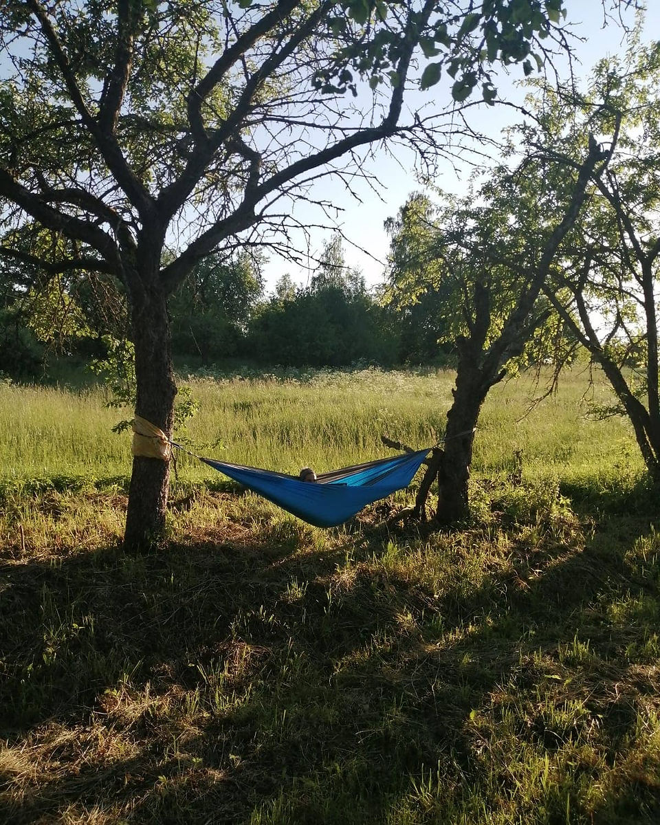 Cat Gavriusova, Off Grid Homestead In Lithuania