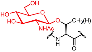 O-GlcNAc_clear_red.png