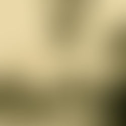 UN 20 DE JUNIO PERO DE 1920 NACE CARLOS GALINA