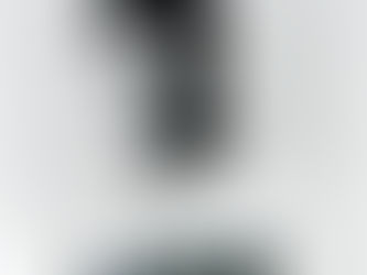 UN 19 DE NOVIEMBRE PERO 1921 NACE ROY CAMPANELLA