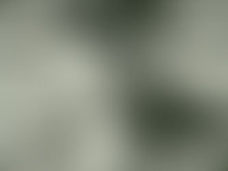 UN 18 DE MARZO PERO DE 1982 MUERE CARLOS ALBERTO GONZÁLEZ