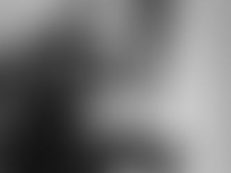 UN 30 DE MARZO PERO DE 1934 NACE JORGE FITCH