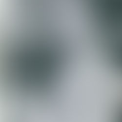 UN 11 DE SEPTIEMBRE PERO DE 1911 NACE ALBERTO ROMO CHÁVEZ