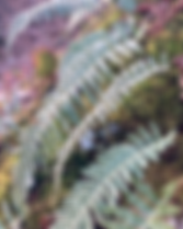 F2404D36-38B4-45A5-A858-0EE021E347F3.heic