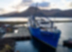 Dutch Harbor Dock Expansion