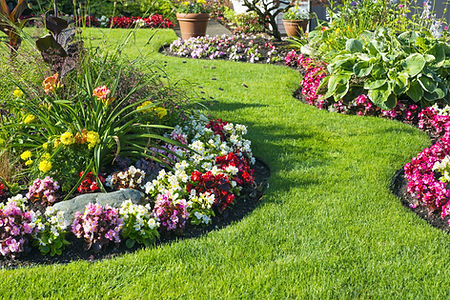 landscape-planting_optimized.jpeg