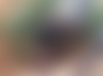 Tierischer Fincaurlaub