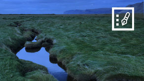 Glaumur nútímans á gnægtarborði jarðar