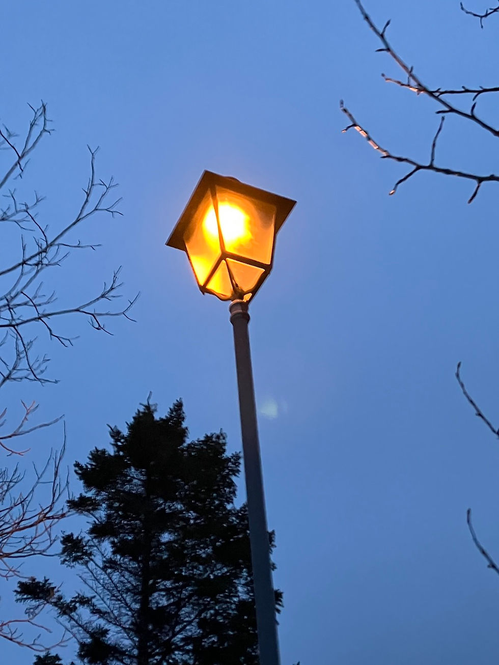 „These celestial movements mirror the cycles we experience on Earth. Dark and light, waxing and waning, birth and decay. People, too, are part of nature, though we have largely forgotten this truth.“