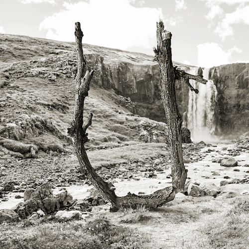Rubén Chumillas, letur, leturgerð, Þingeyri, list, Dýrafjörður, Vestfirðir, Blábankinn, Arnhildur Lilý Karlsdóttir, úr vör, vefrit