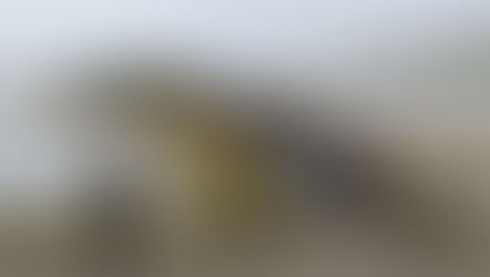 Náttúrubarnahátíð í fjórða sinn