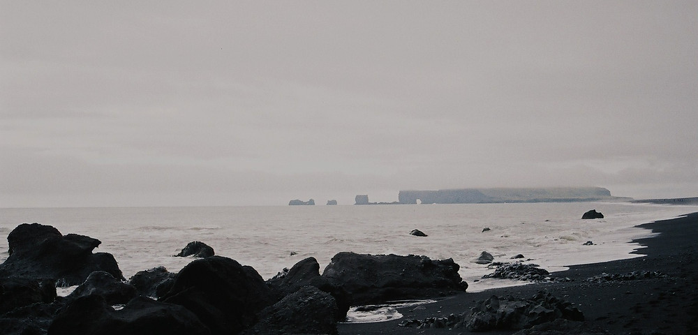 Þorláksmessa, Skata day, Emanda Percival, tradition, Christmas, Christmas tradition, skate, food, weird food, Iceland, úr vör, vefrit, writing, journalism, Aron Ingi Guðmundsson
