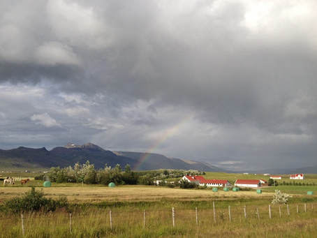 Mjólk culture