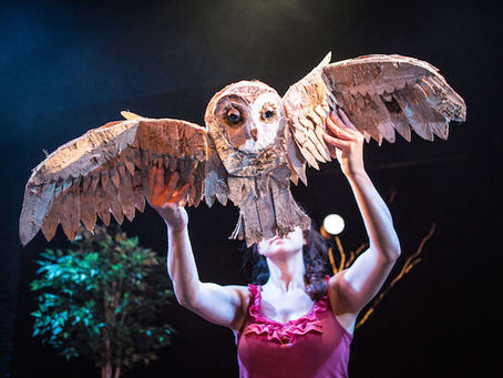 Brúðulistahátíð á Hvammstanga