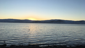 Lífið á landinu bláa