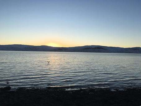 Lífið á landinu bláa