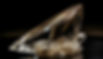 shiny-gemstones-illuminate-luxurious-jewelry-collections-generated-by-ai.jpg