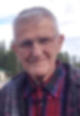 D Guizzo.jpeg