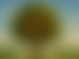 The Fruit of the Spirit (Gal 5:22-23)